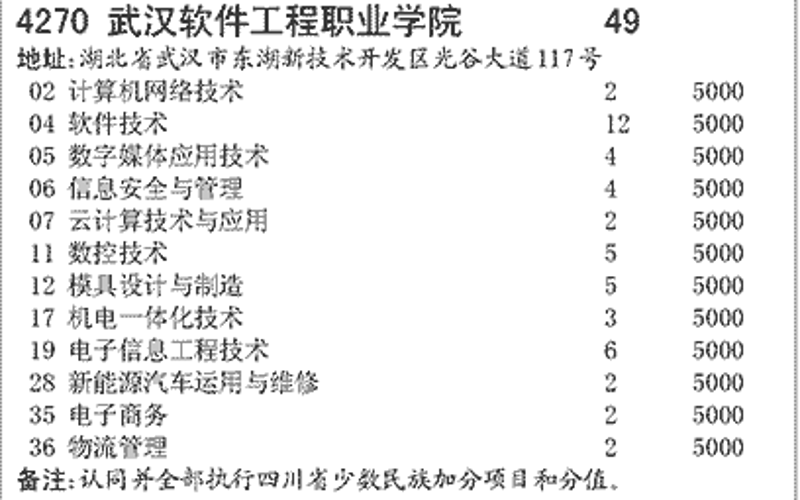 武汉软件开发市场新动向：机遇与挑战